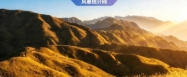 IF=9.7！澳大利亚免费数据+中国本土队列，这项研究发表JAMA子刊