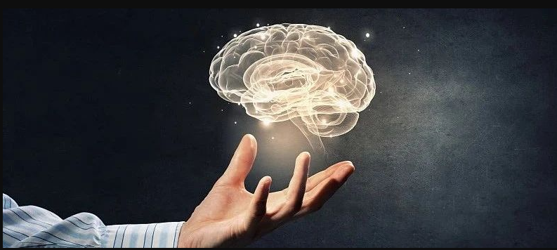 CHARLS数据库 ，多种空气污染物对认知影响发一区文章